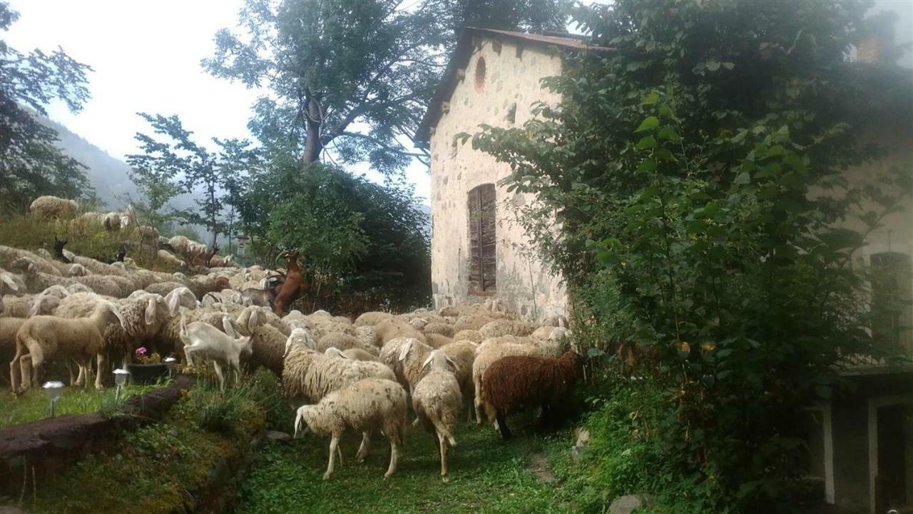B&B L'Abric - Centro Storico Di Limonetto Limone Piemonte Zewnętrze zdjęcie